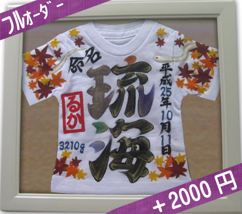 出産祝い命名Ｔシャツ【命名額ミニＴ】 命名額 名入れ子供服エメムー